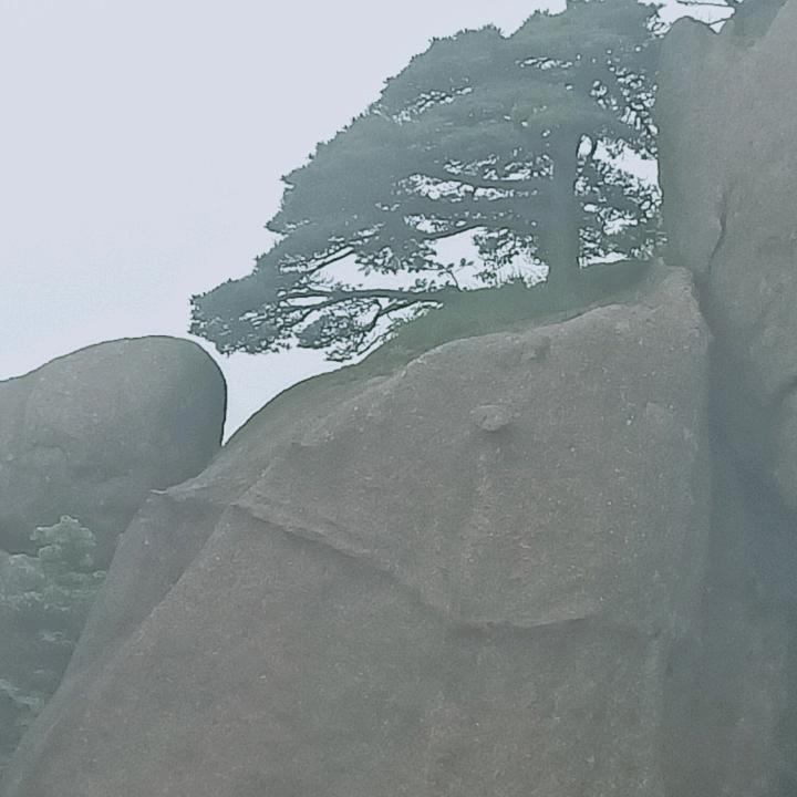诚信