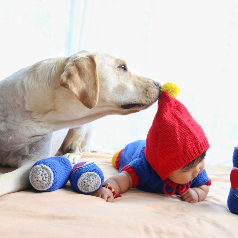 🐶大小王十一👶
