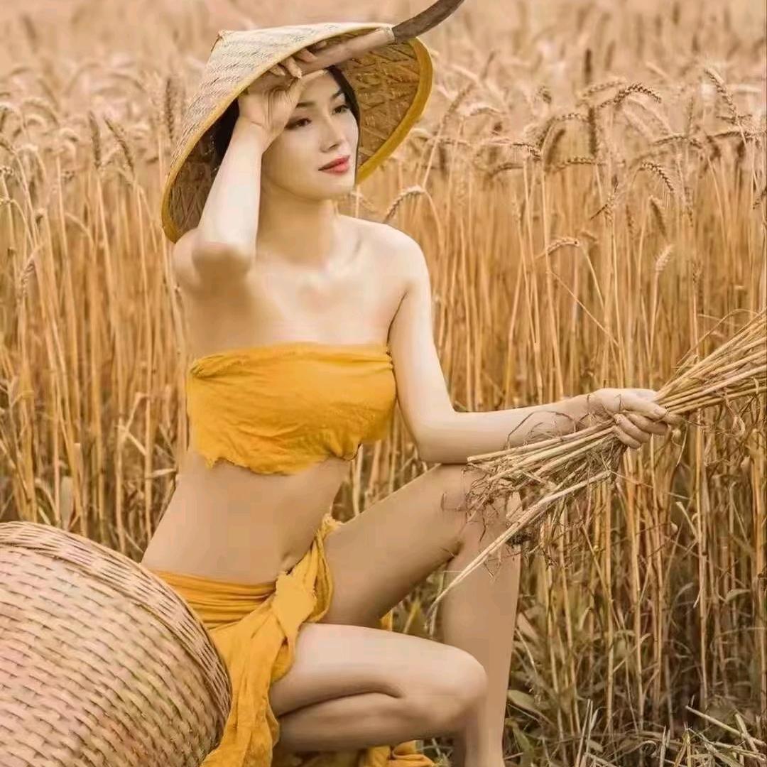 小刘做药材泡参