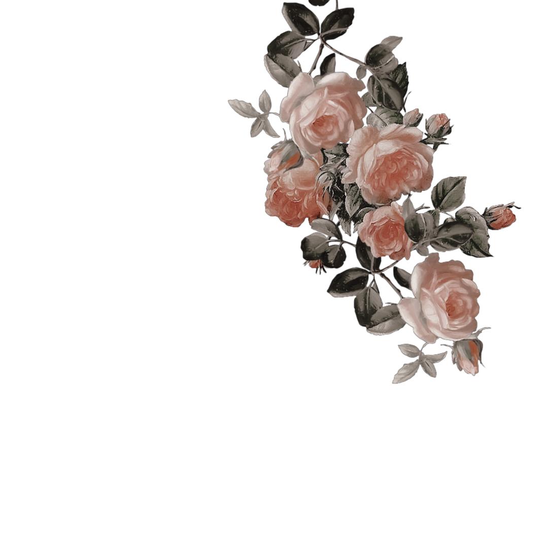 淡