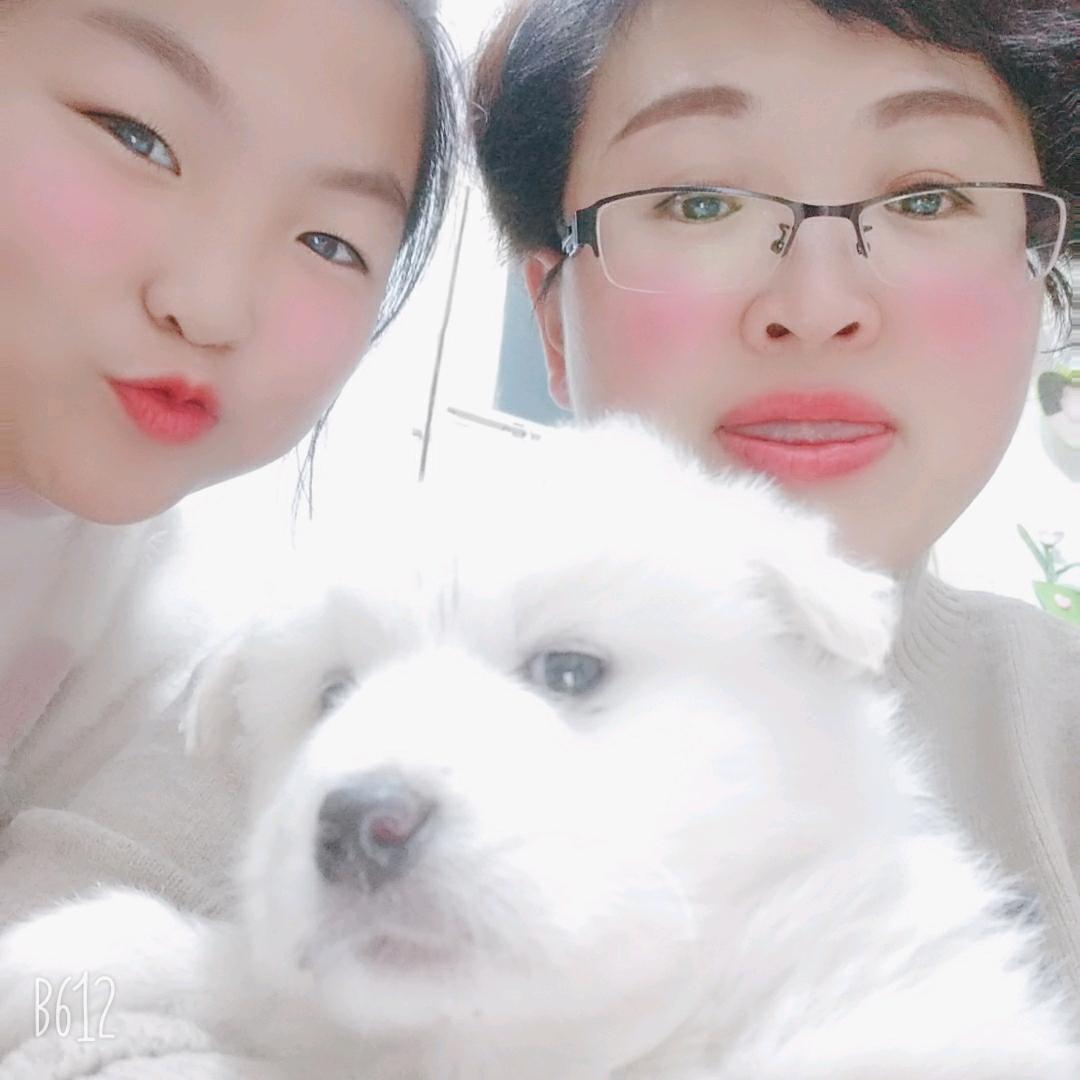 辛年快乐