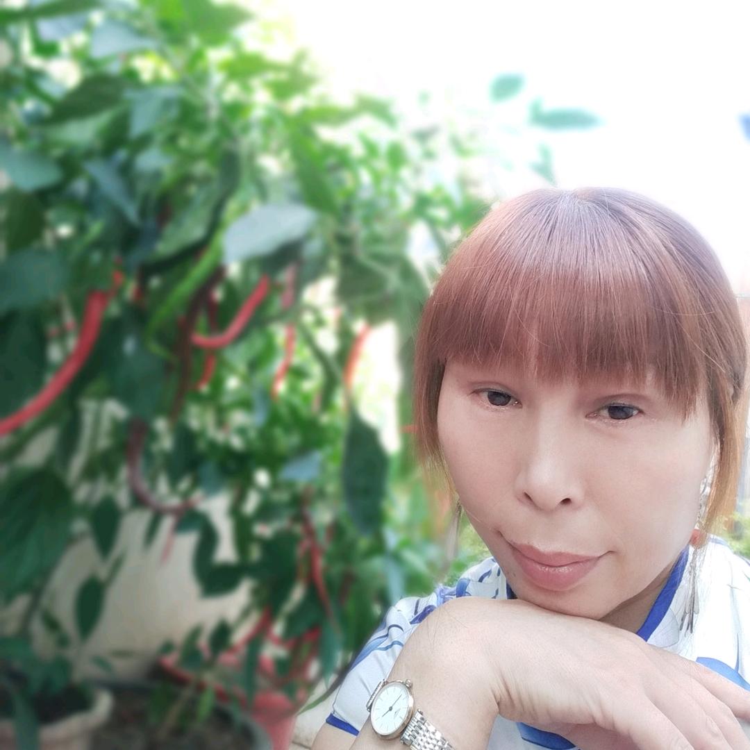 王姐