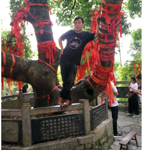 燕子李三