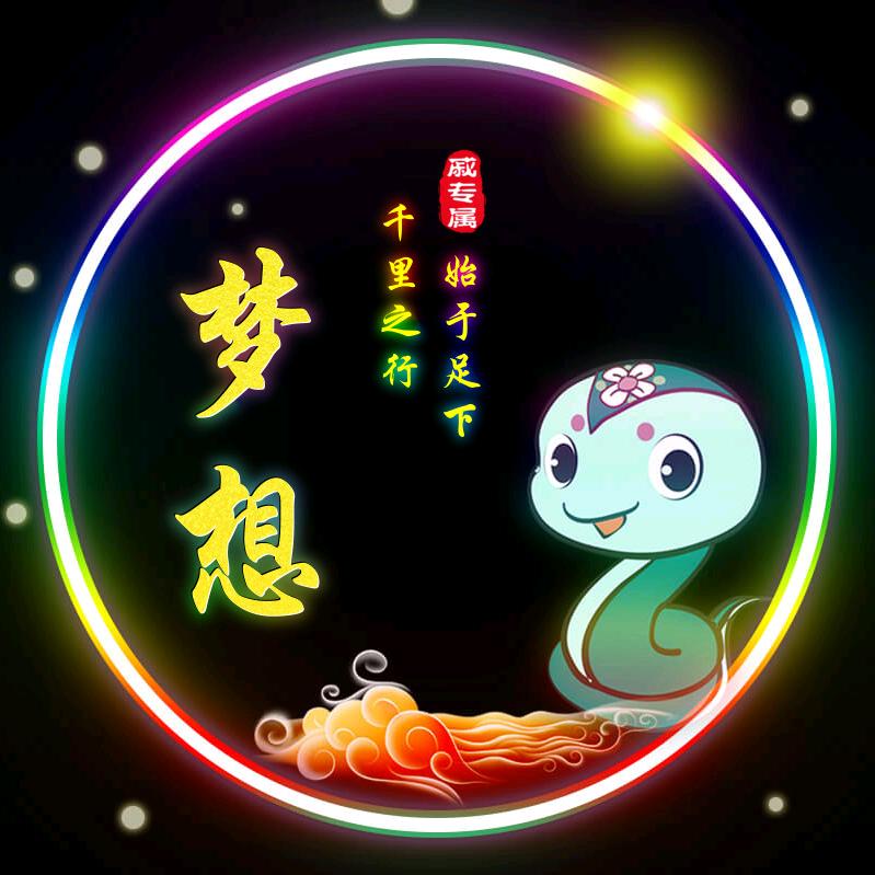 追逐梦想303