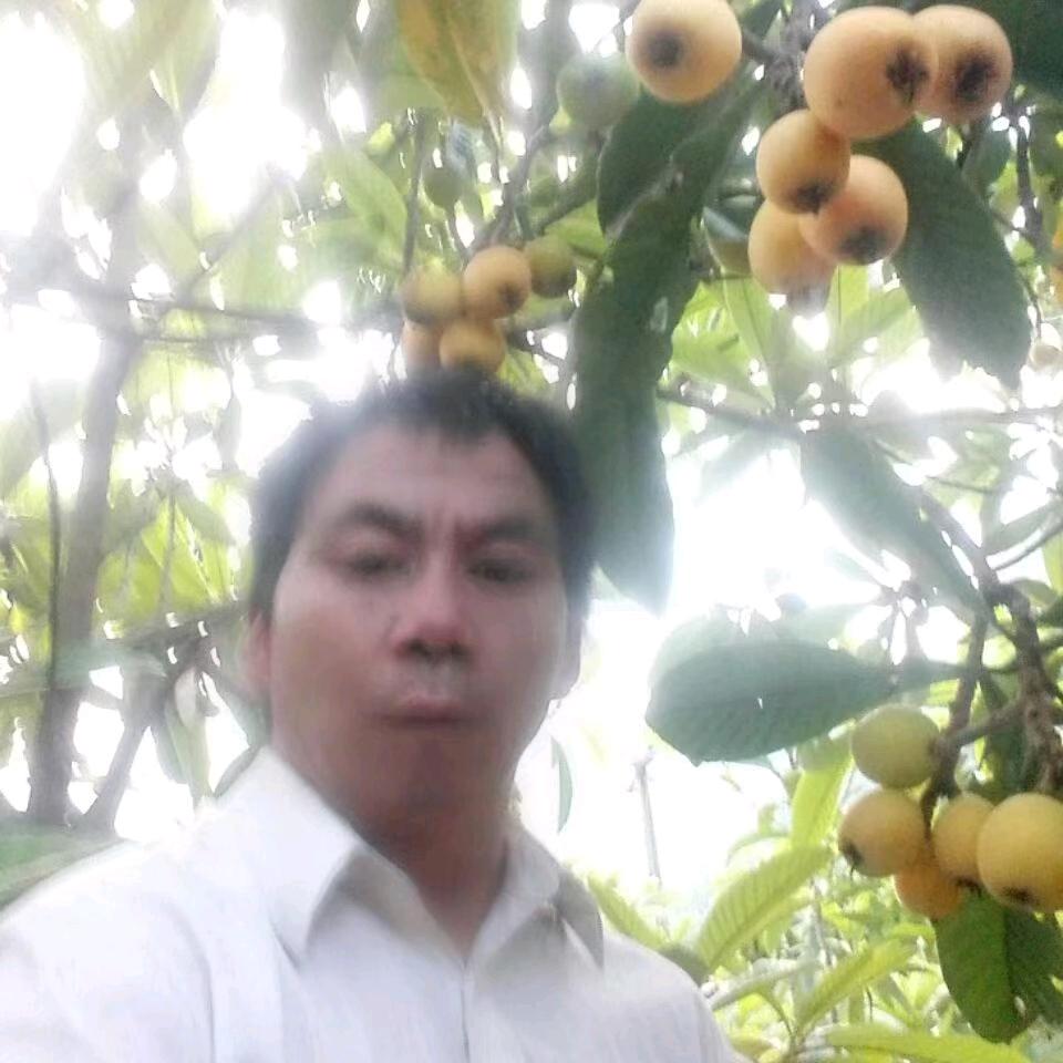 我是曾哥（77）专治疗