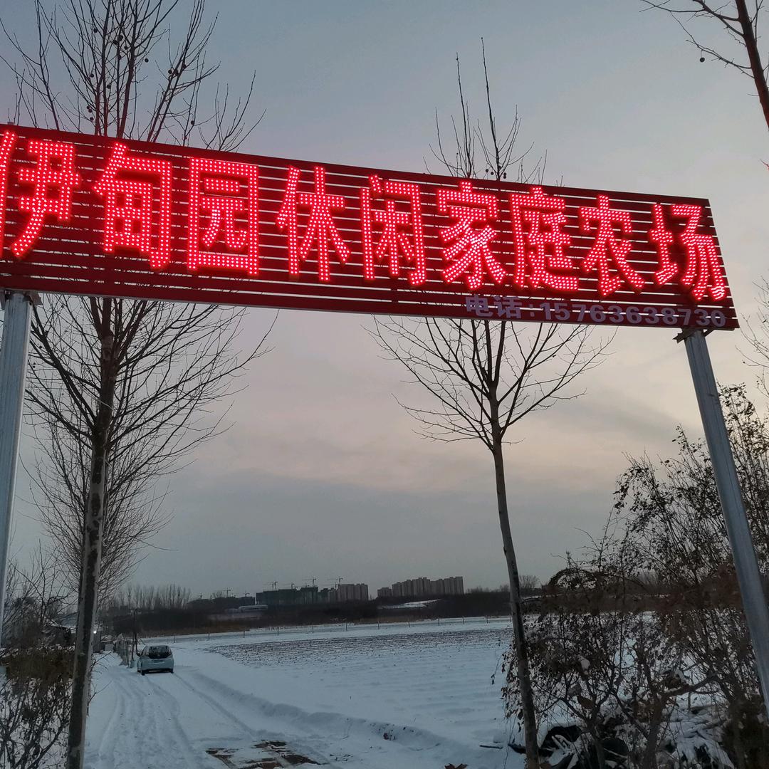 临朐东城奶莓哥