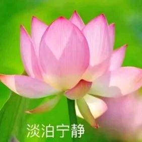 卿云''