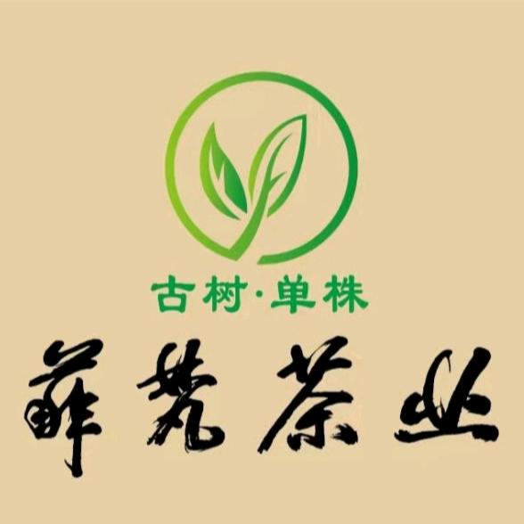 菲梵茶业(古树、单株)