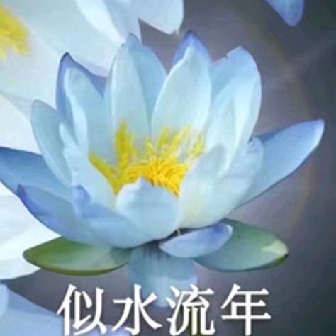 花开富贵🌸