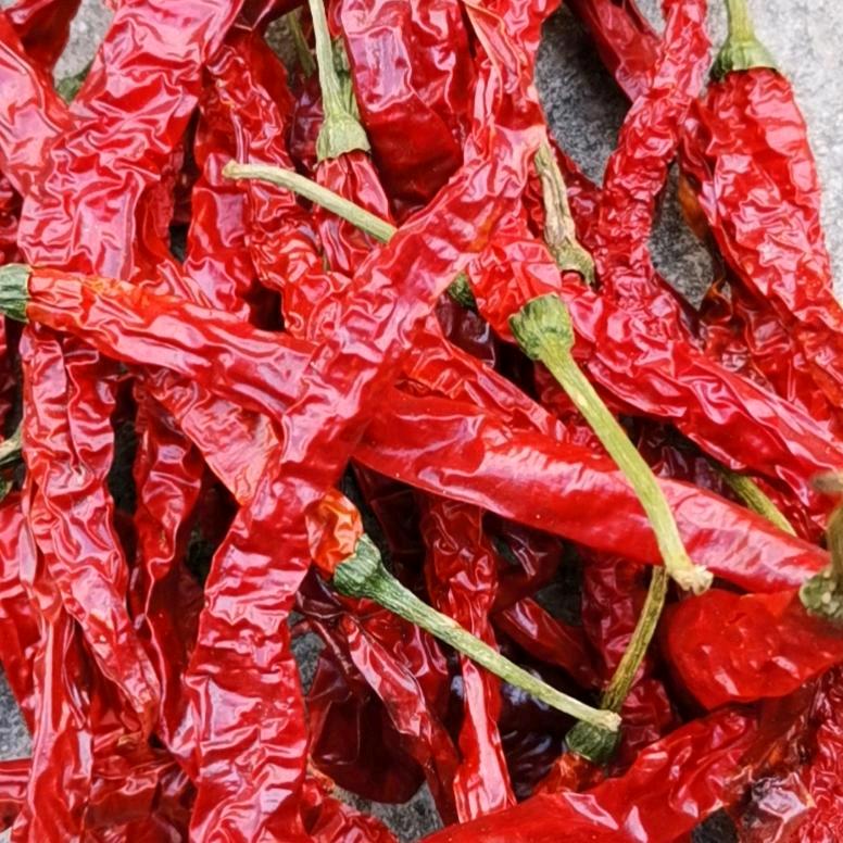 炒米阴米和干辣椒dyaa9cdqytfz