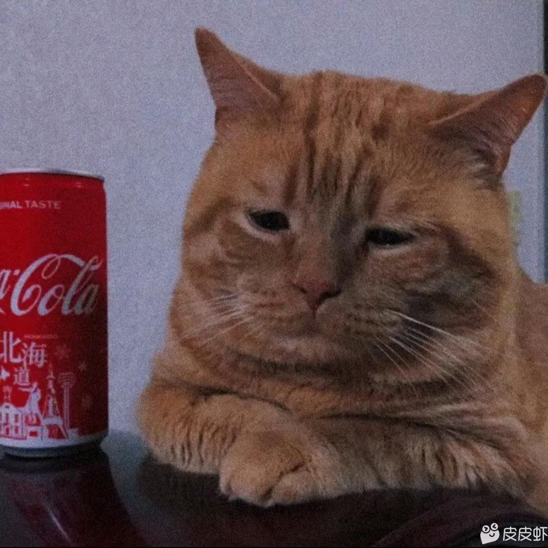 海口美兰区清妍嘉