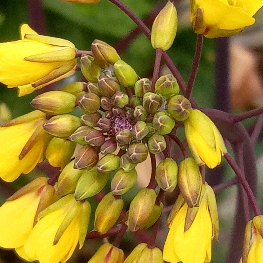 美好未来，开心快乐每一天。
