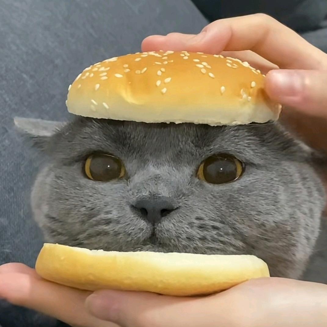 不识人间愁苦味