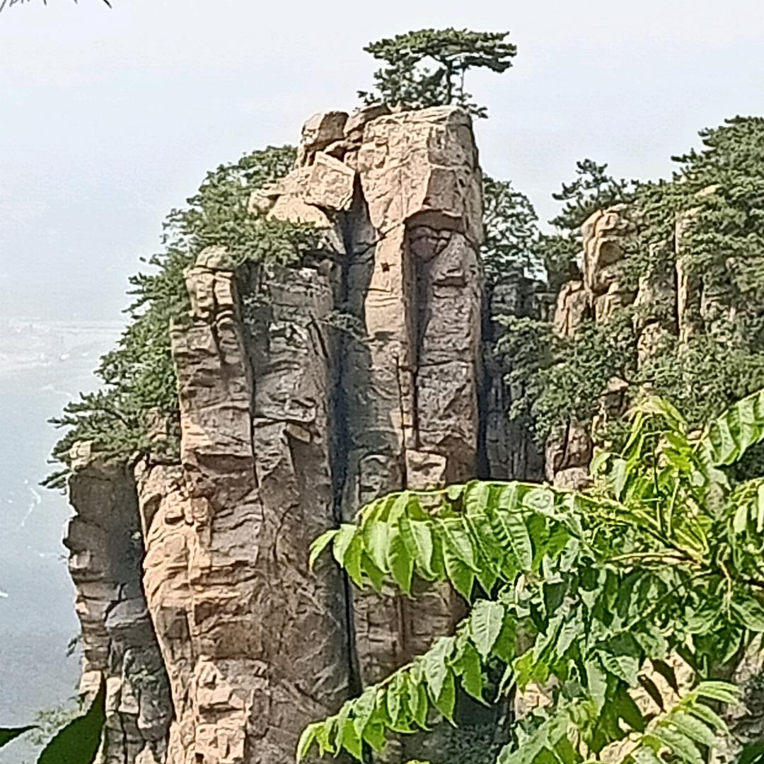 白金之星