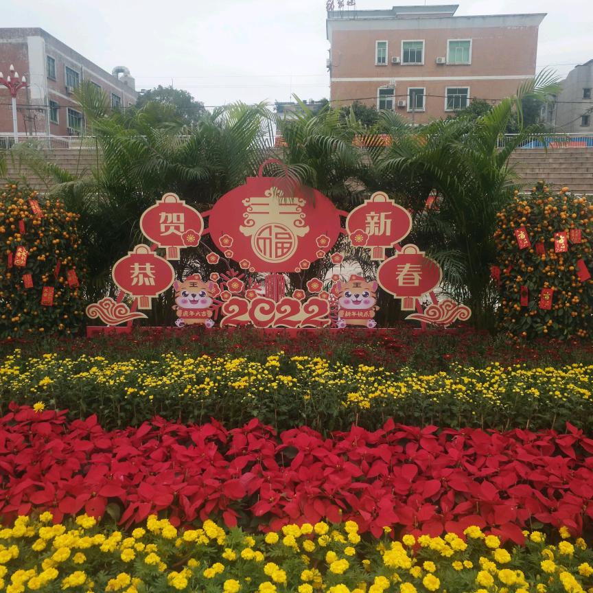 红小果头像