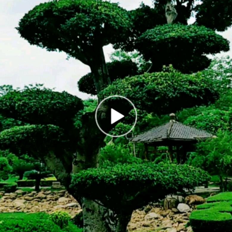 快乐大家庭_249797693