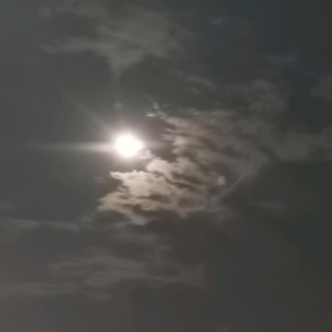 曰月曰月