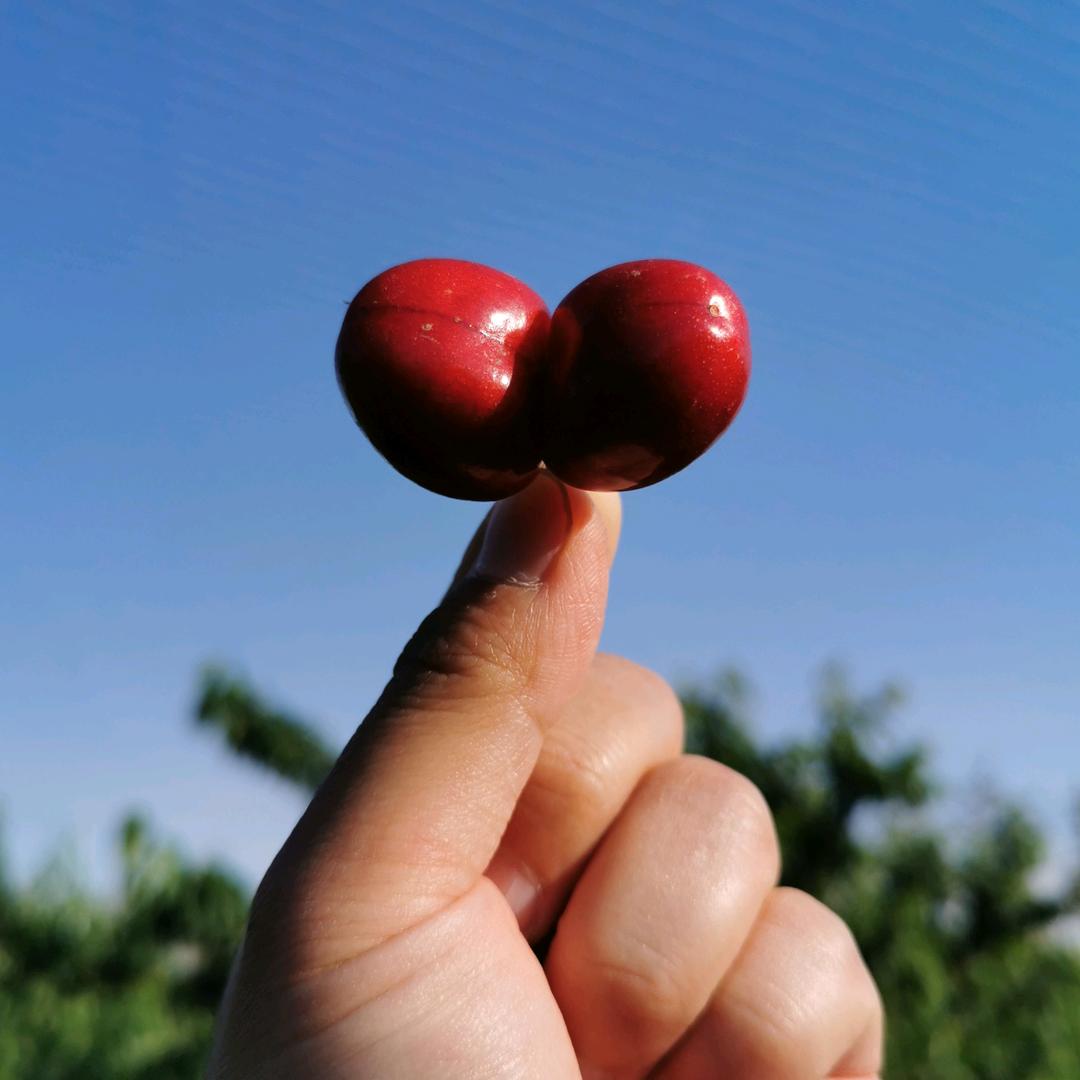 伴我安(ღ˘⌣˘ღ)馨