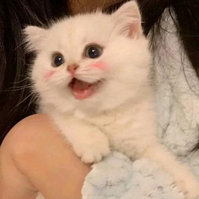 Ther
