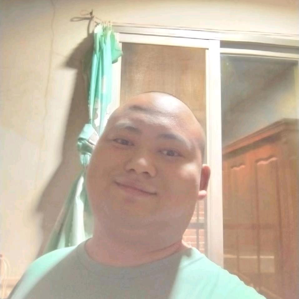 西草绿篱莺