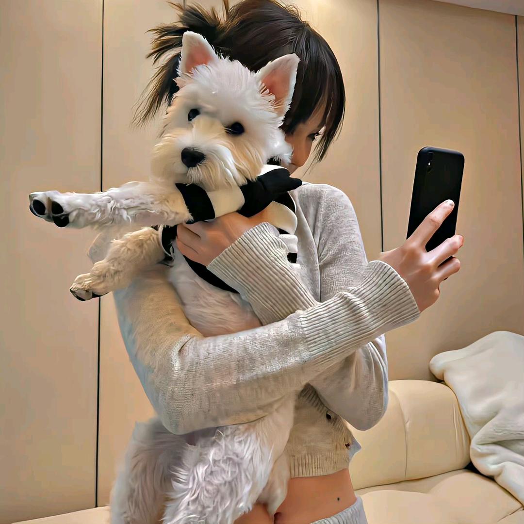 辣椒炒麻椒
