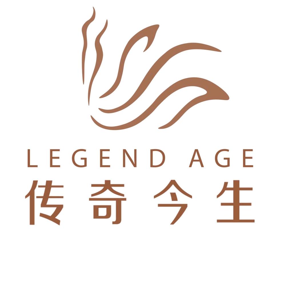 传奇今生总代理商