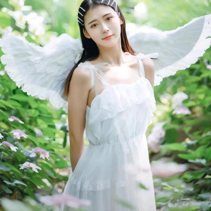 花花的世界