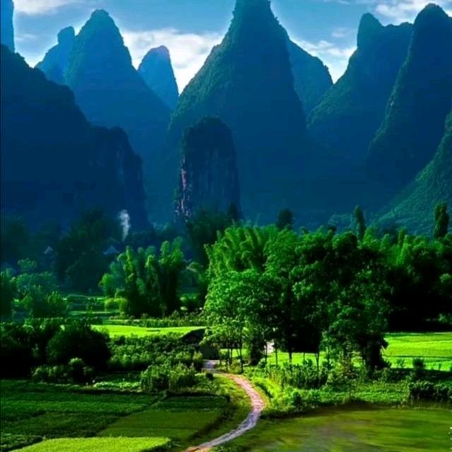 生命不停，奋斗不息