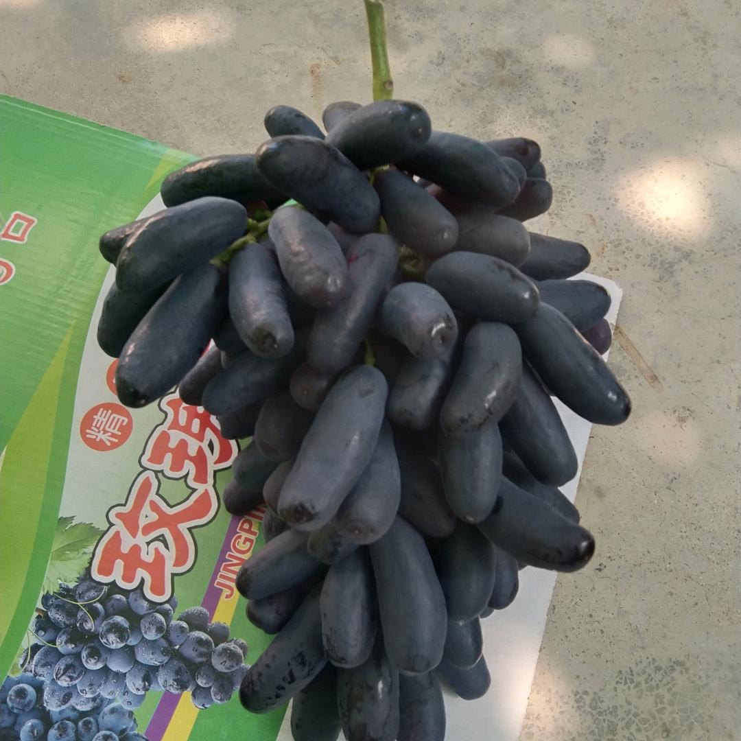 少羽京门葡萄果树苗木专卖店