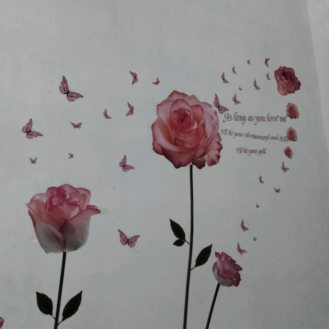 有一种爱叫做放手