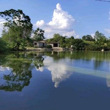 鱼乐友休闲钓场