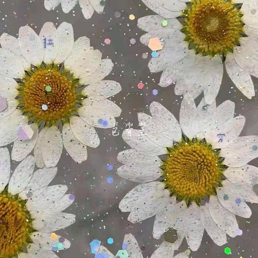 花鬼11.6