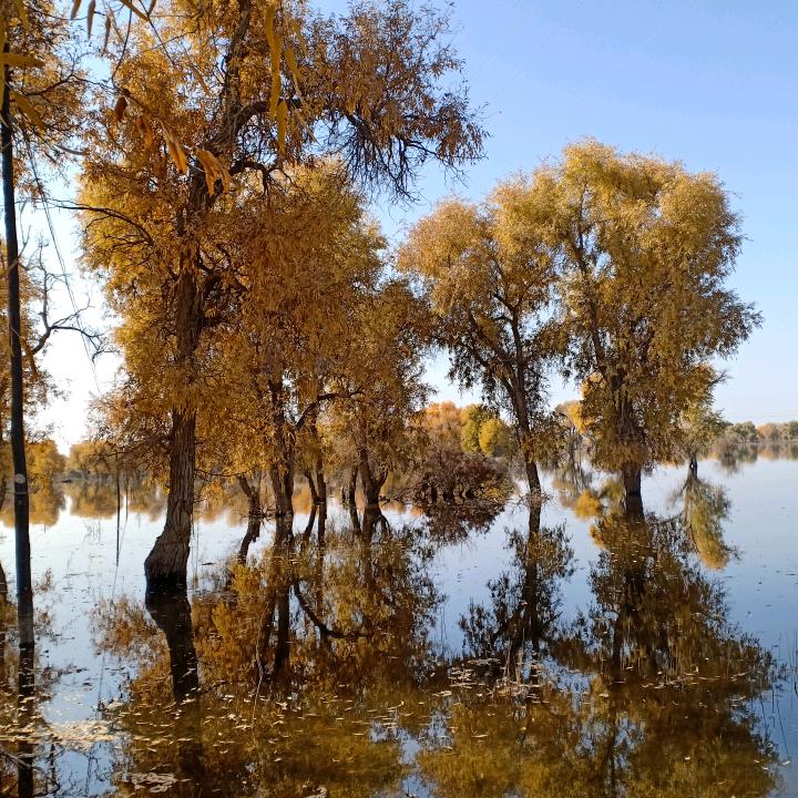 余生不将就<拒私聊>