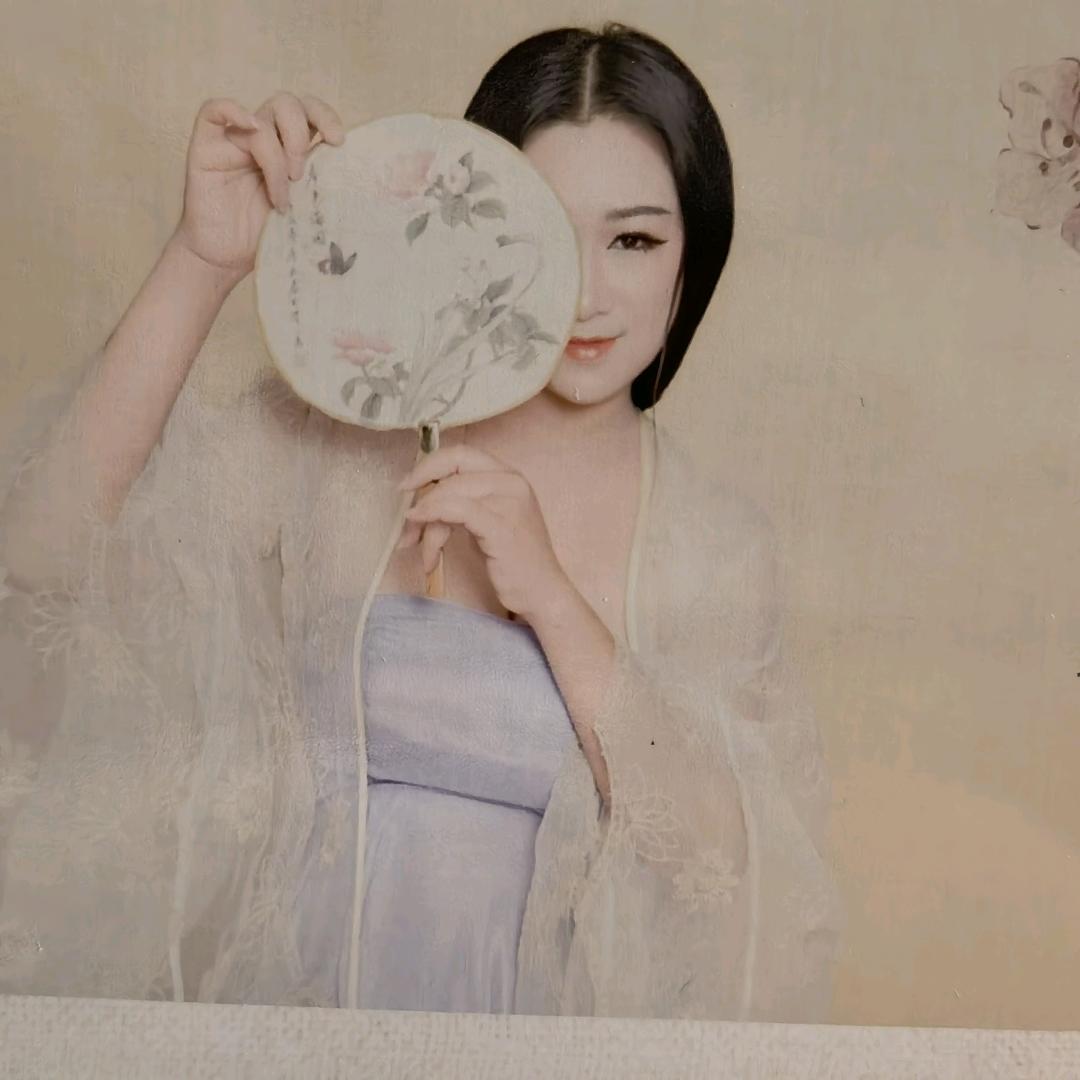 淡菊