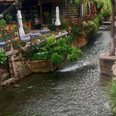 锦尚园餐厅，15元自助快餐