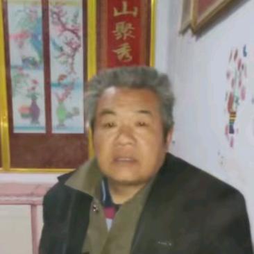 张哥(原名乐乐的爷）