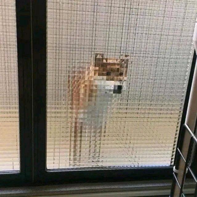 一粟