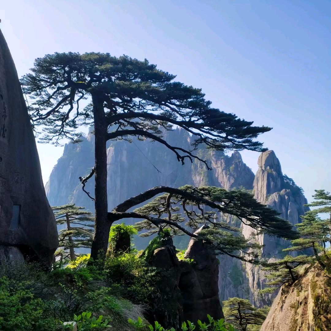 智慧电力供应链CHE