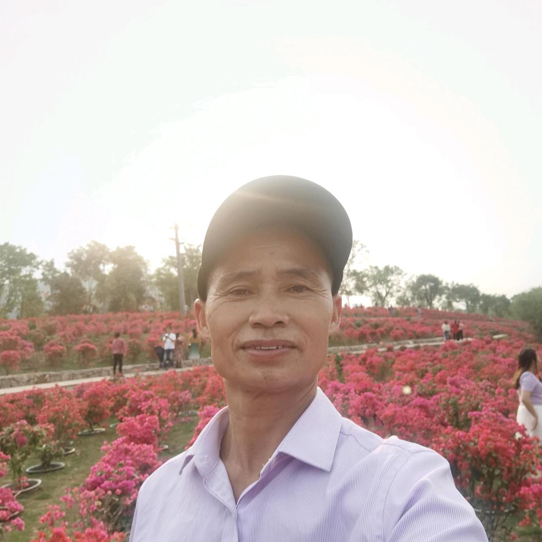 人生何处不问情🦄