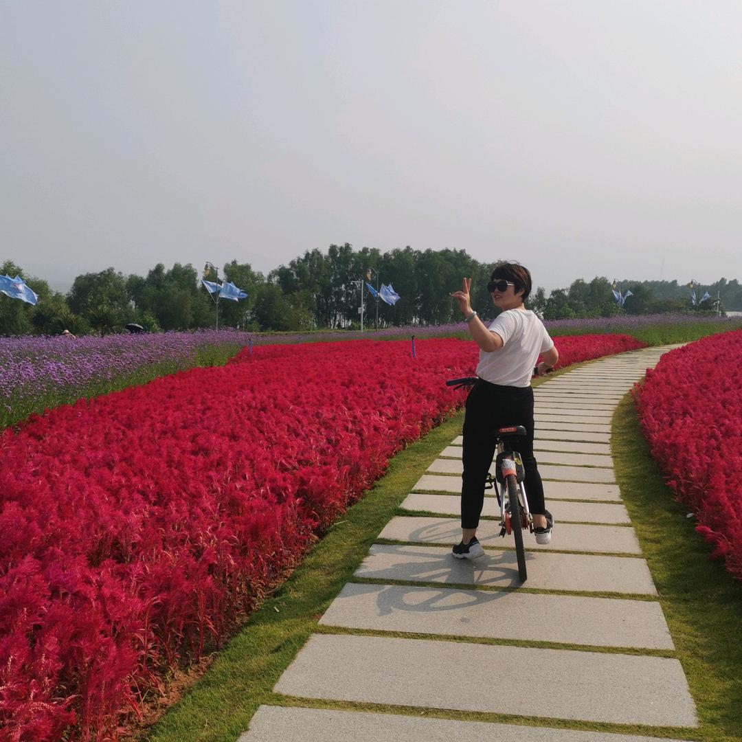 柳暗花明。