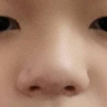 雀羊葱葱