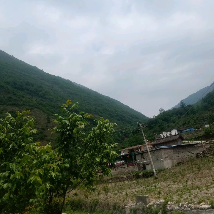 用户41742785