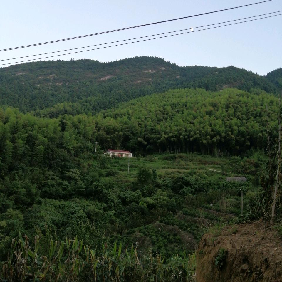 大山里的哥