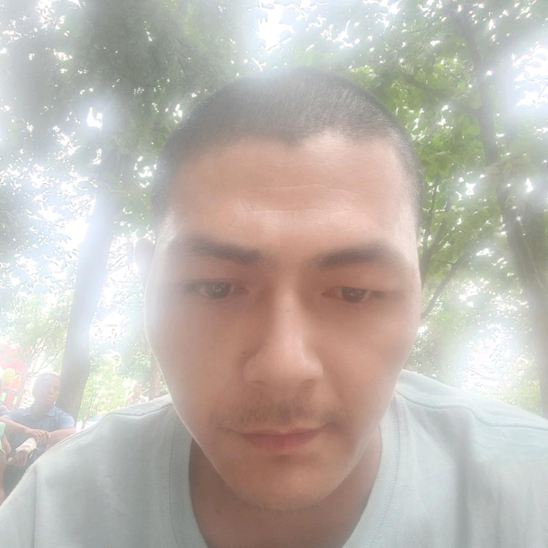 杨龙