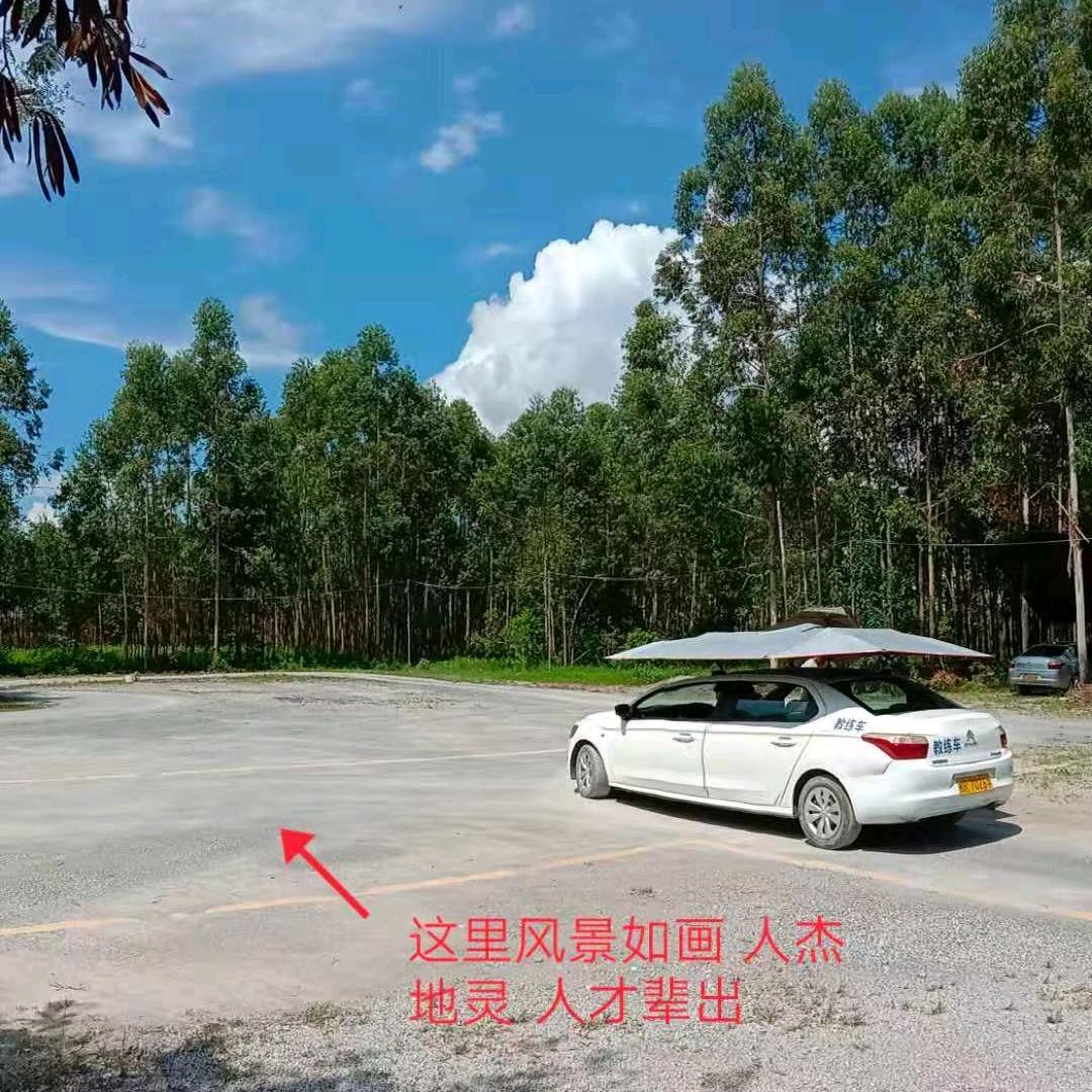 驾校表姐