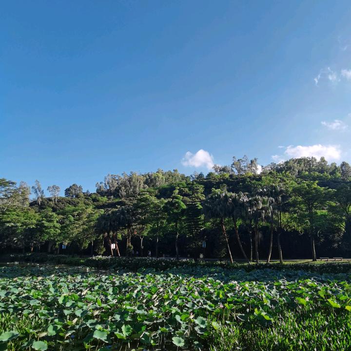 静水