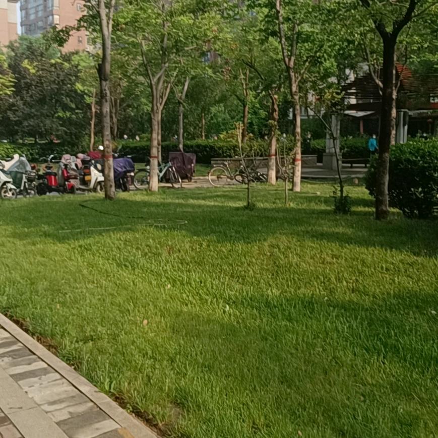 一路顺风