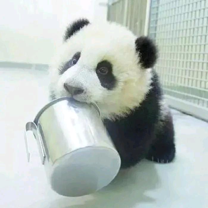 暖羊羊小娟