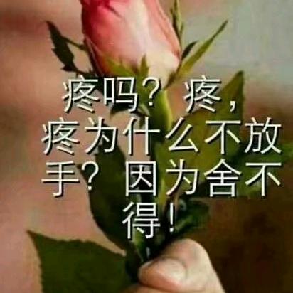 玫果