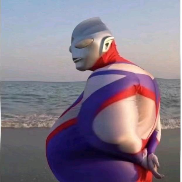面朝大海的猫